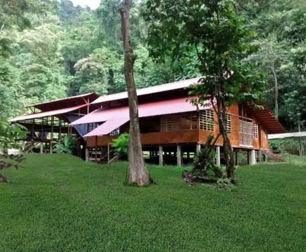 Safio. Una Casa En El Paraiso. Nuquí 外观 照片