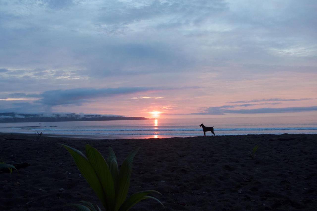 Safio. Una Casa En El Paraiso. Nuquí 外观 照片